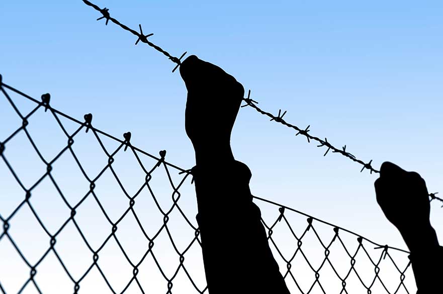 two hands holding on to barbed wire
