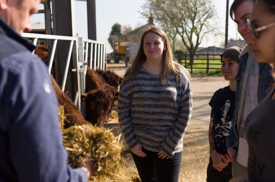 BSc Agriculture - Students learn about cattle feedstuffs and livestock nutrition