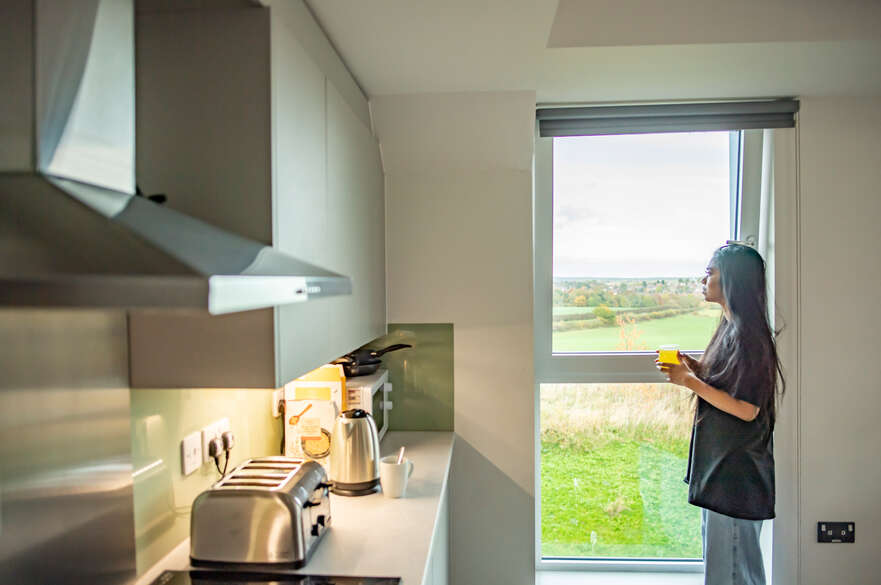 Student looking out window