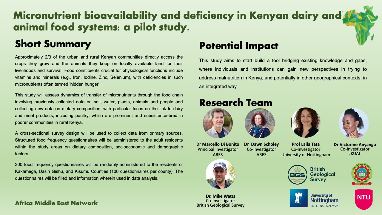 Micronutrient bioavailability and deficiency in Kenyan dairy and animal food systems