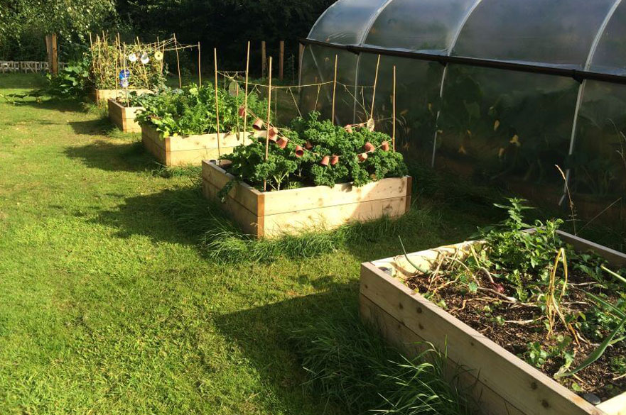 Raised beds for growing vegetables at Clifton Foodshare Allotment