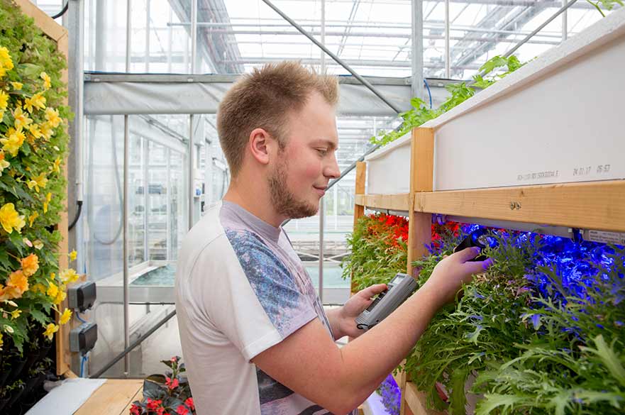 Glasshouse complex plant monitoring