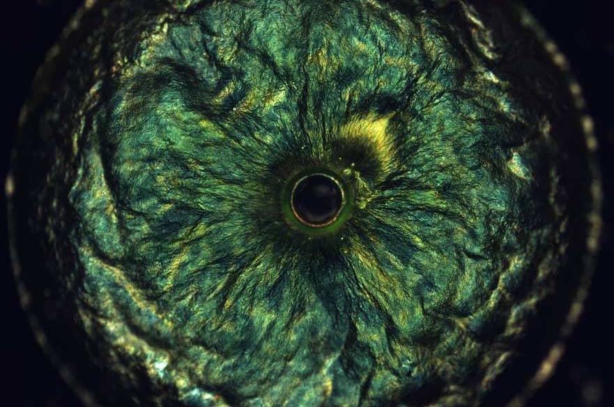 Image of an eye by Kyle Baldwin.