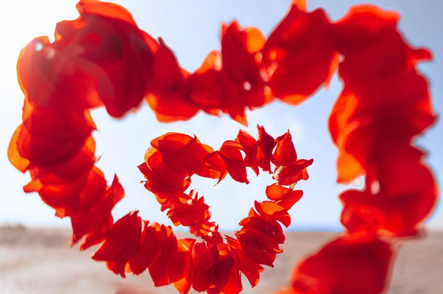 Red petals shaped in a love heart.