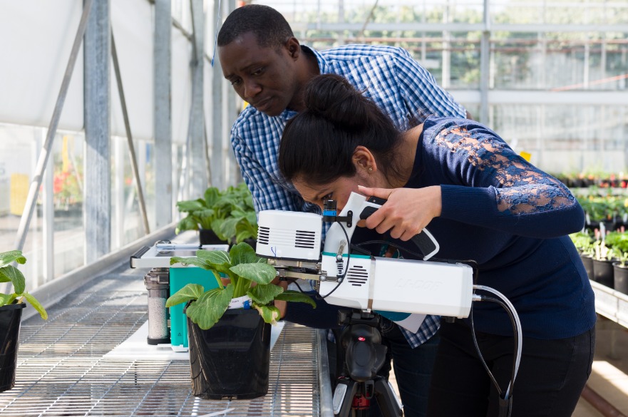 BSc Agriculture - Students use crop technologies to analyse plant health in our glasshouse complex