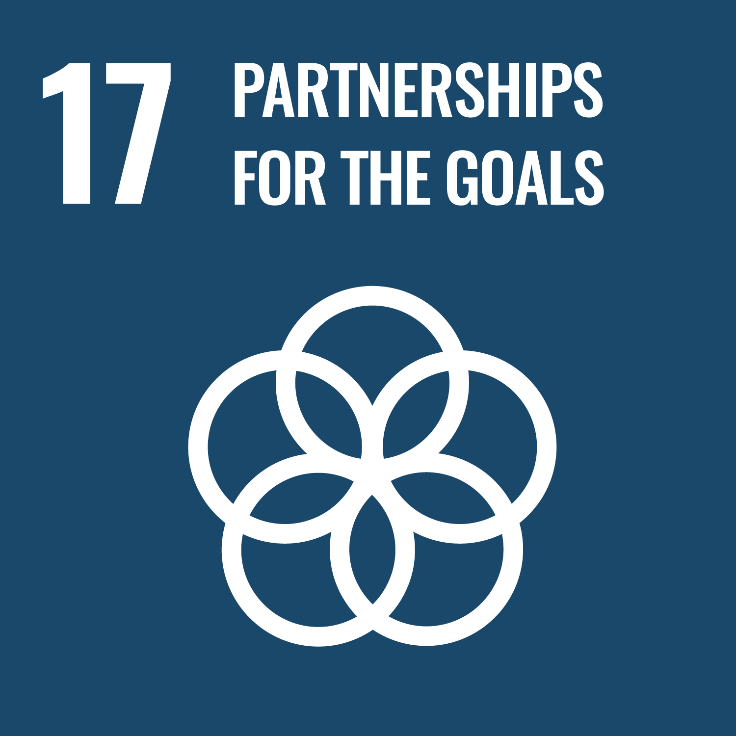17 - Partnerships For The Goals Badge