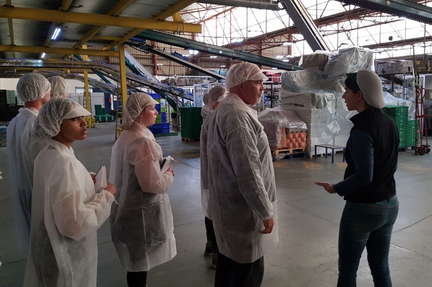 BSc Environmental Science - Students visit a local business on a field trip to Almeria, Spain