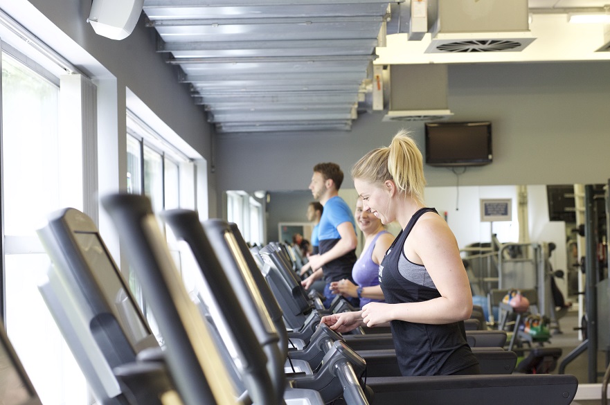 females on treadmill 