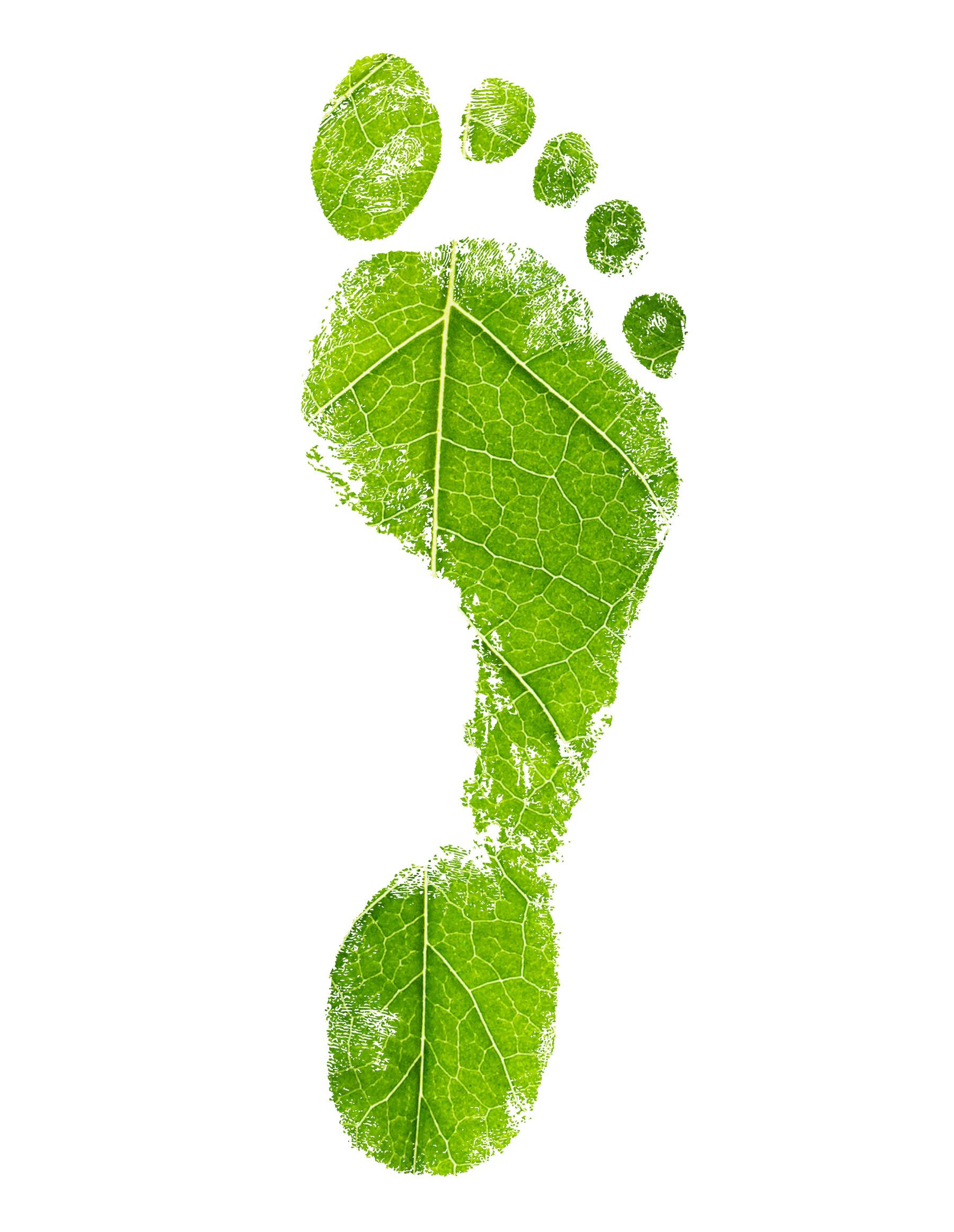NBS consultancy carbon footprint