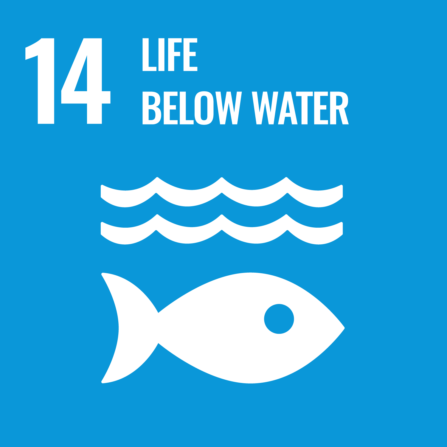 14 - Life Below Water Badge