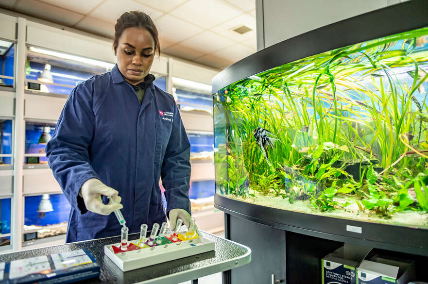 Student at Animal Unit testing water levels of fish tank