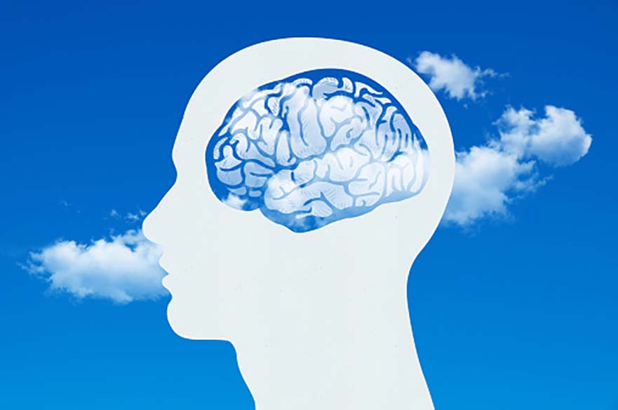 Silhouette of a head in profile with stylised picture of the brain