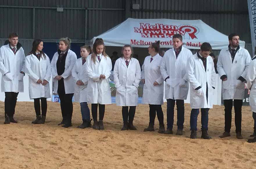 Winter Stock Festival 2019