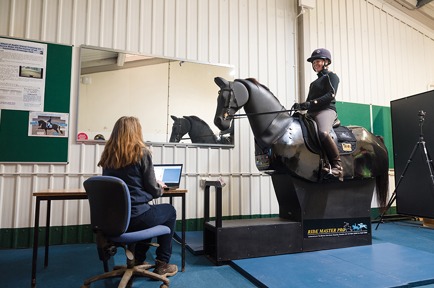 Equine Research in the Performance Analysis Room