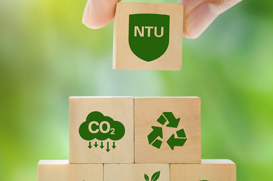 Wooden blocks with recycling and sustainability symbols