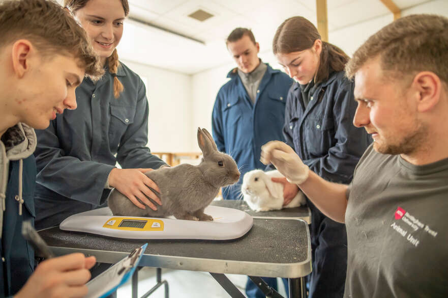 Animal Management students in practical
