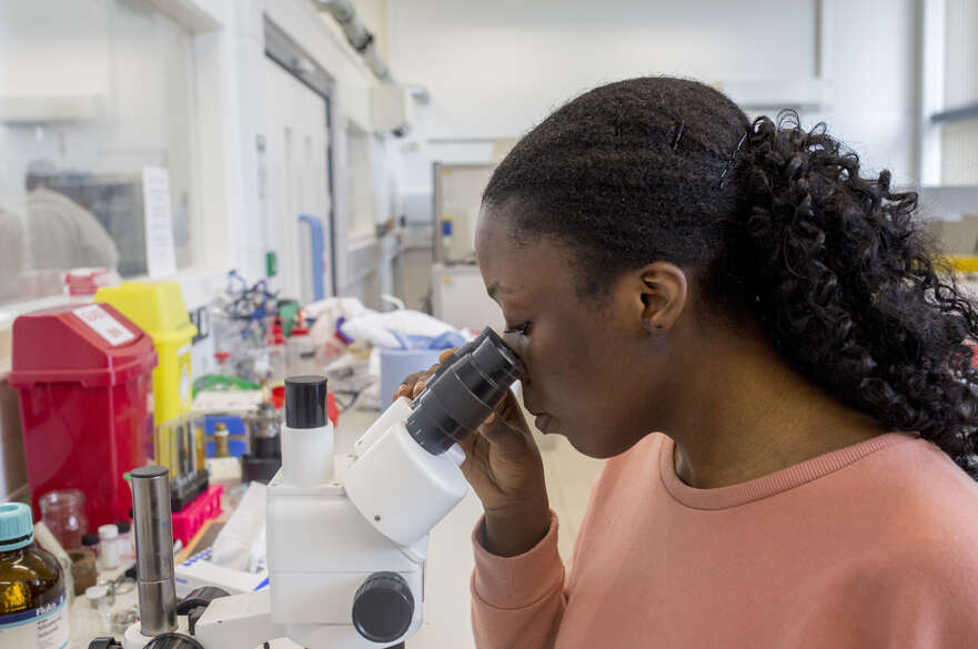 Analytical Sample Preparation Lab