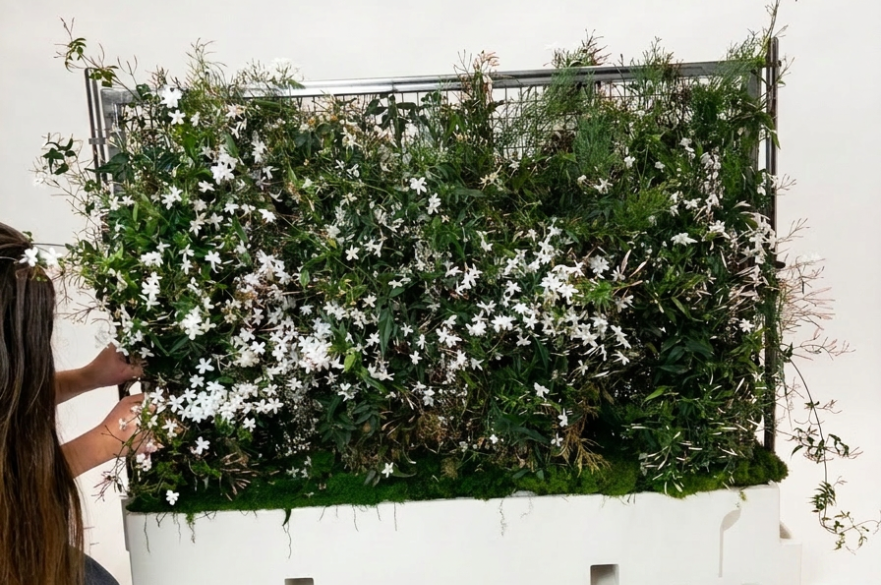 A person adding foliage to a block of temporary construction site fencing using hedgerow.