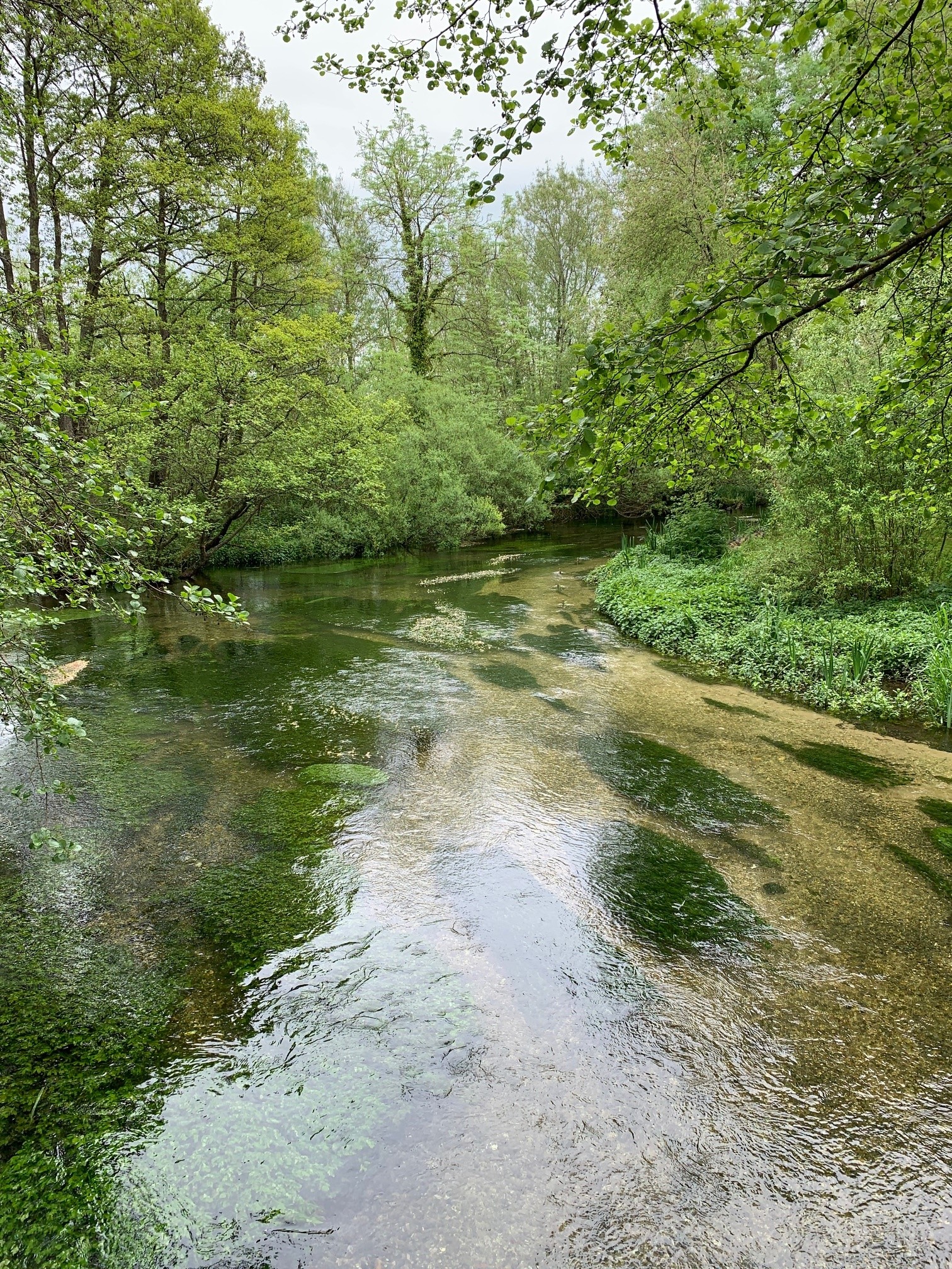 Chalk stream