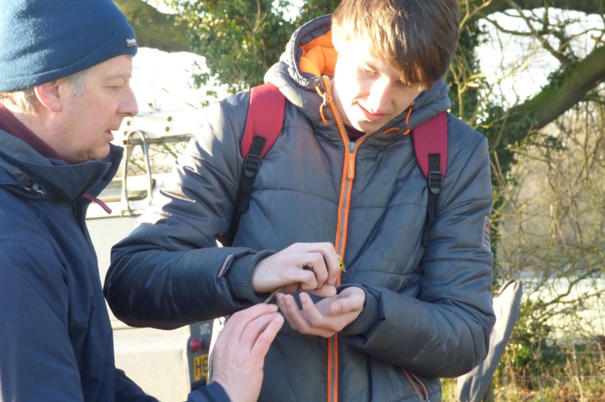 A student learns how to do bird ringing in a demonstration