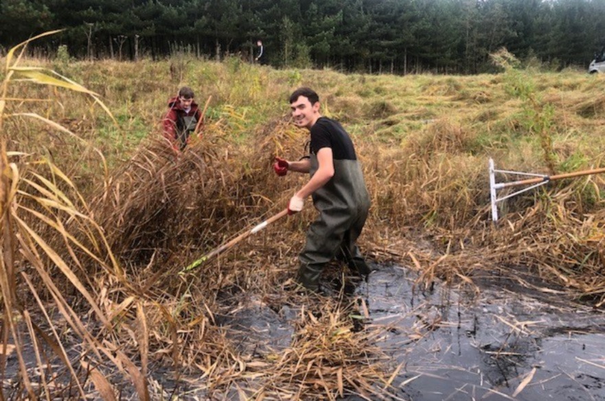 Students working on habitat management in a wetland environment