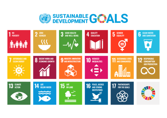 SDG Goals