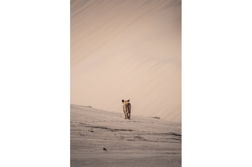 Sarah Curtis, School of Animal, Rural and Environmental Sciences - Life Finds a Way
