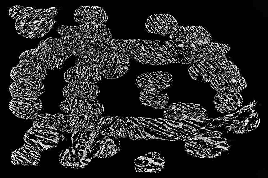 Bone scaffold sample