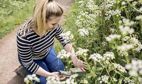 Level 7 Ecologist Degree Apprenticeship Consultation Event