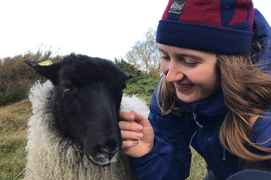 Student with sheep