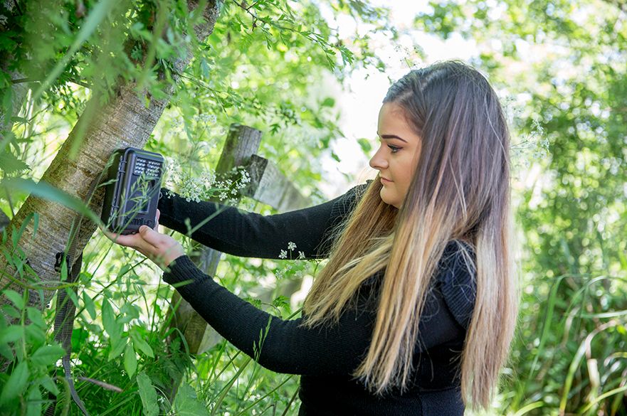 Student using camera trap