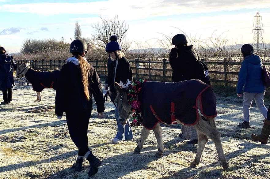 A group of students walking donkeys on Brackenhurst grounds.