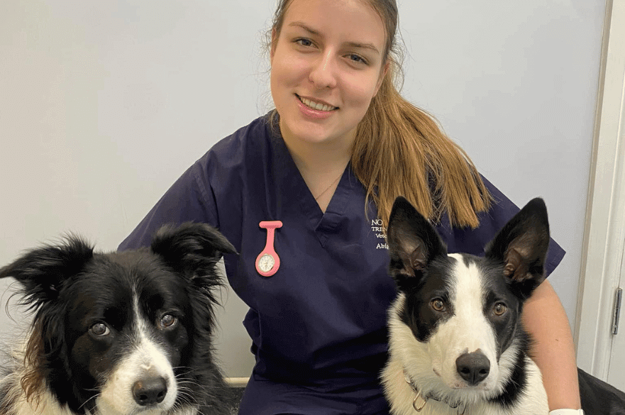 FdSc Veterinary Nursing student Abi Thompson
