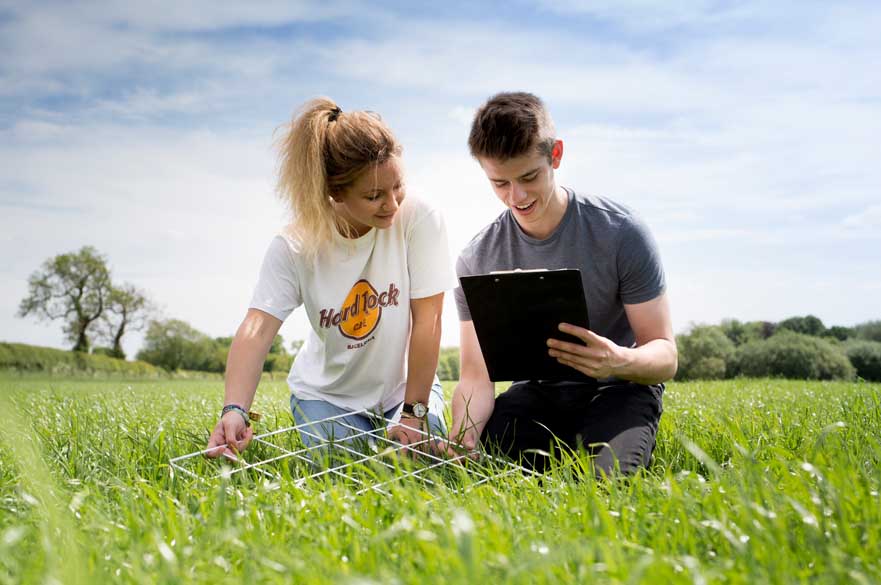 Students in field with quadrat