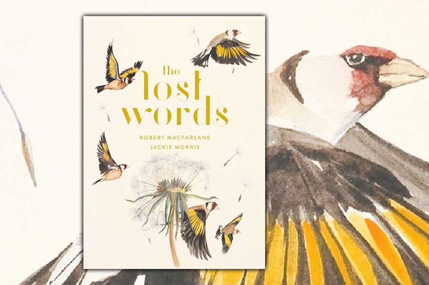The Lost Words by Robert Macfarlane. Illustrated by Jackie Morris