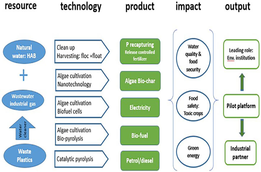 IWEF Research Framework