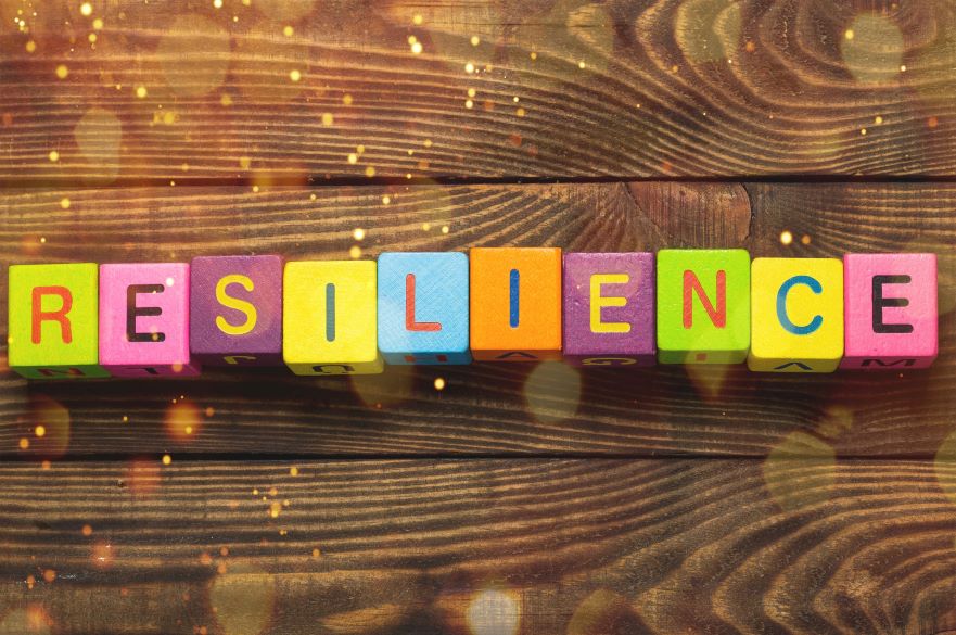 resilience puzzle
