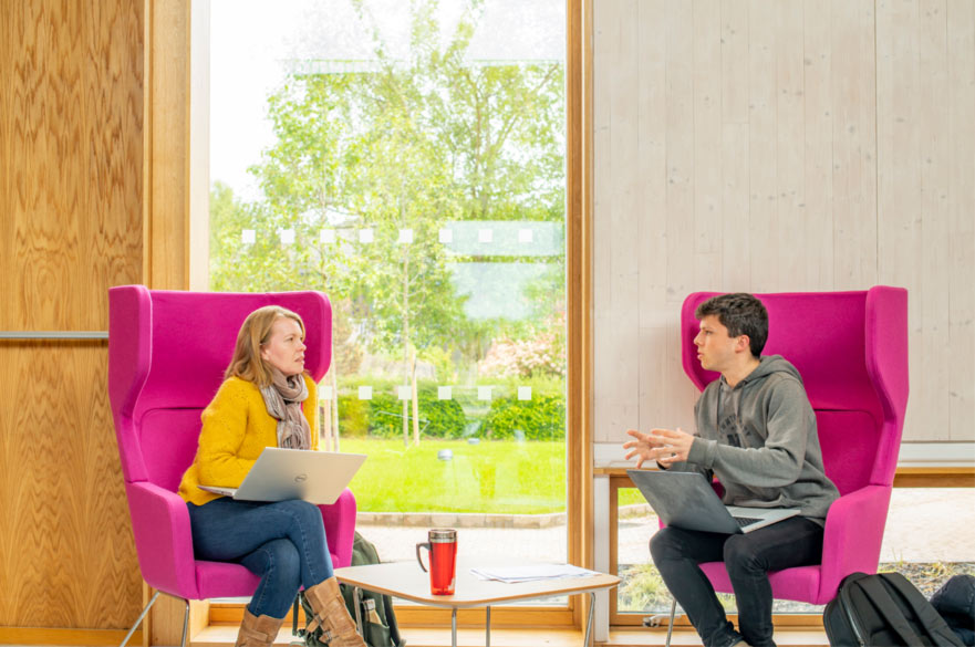 A student and a lecturer sat in pink armchairs with their laptops, deep in discussion.