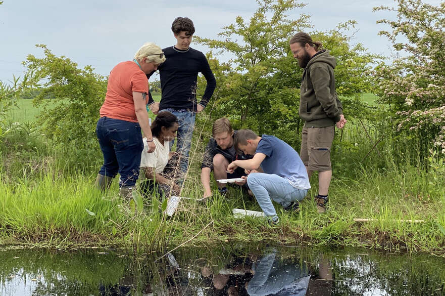 Students pond dipping