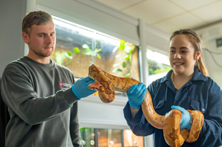 A student and lecturer holding a small in the Animal Unit