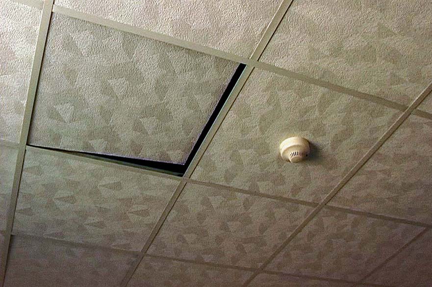 Photograph of a ceiling tile