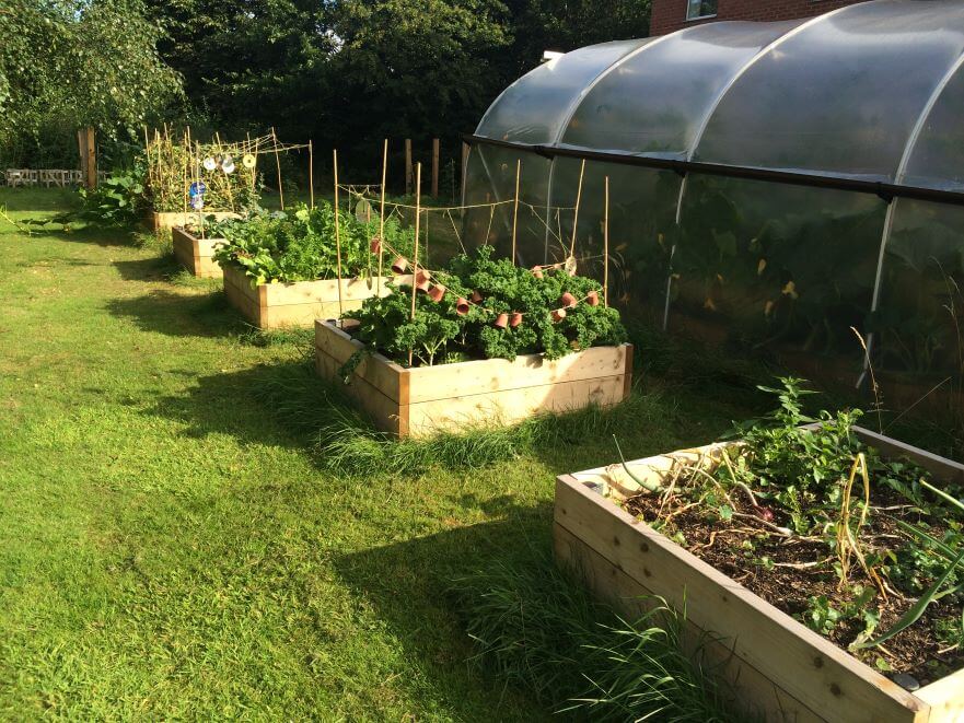picture of NTU foodshare allotment 