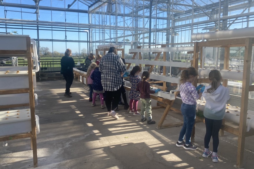 A recent primary school visit to the Brackenhurst glasshouses