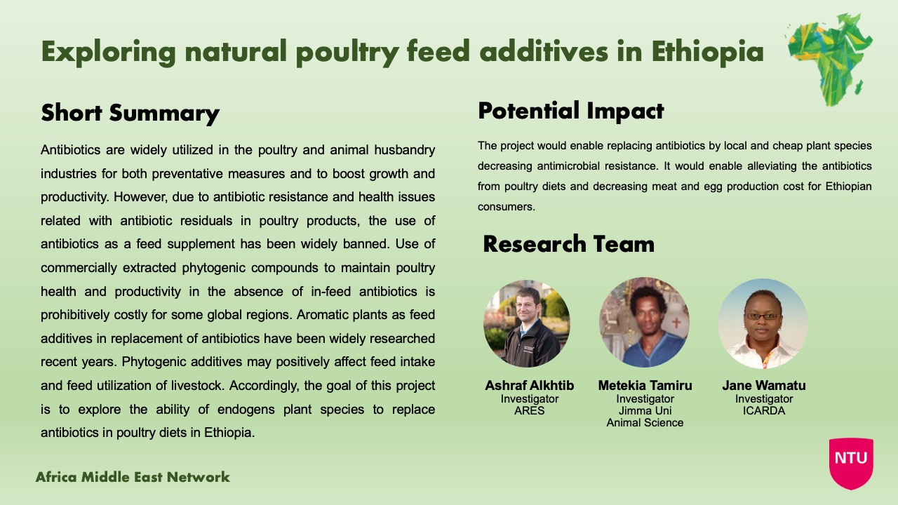 Exploring natural poultry feed additives in Ethiopia