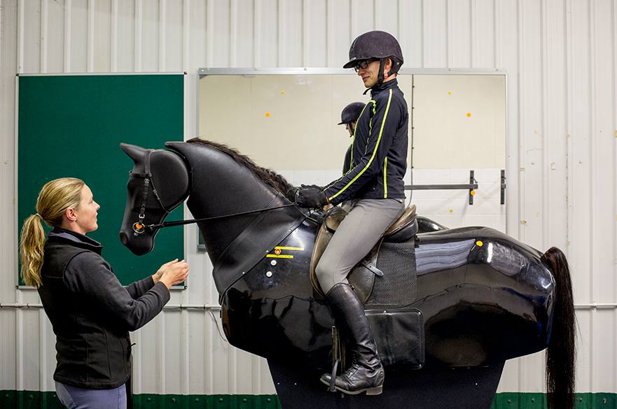 Equestrian Centre Nottingham Trent University