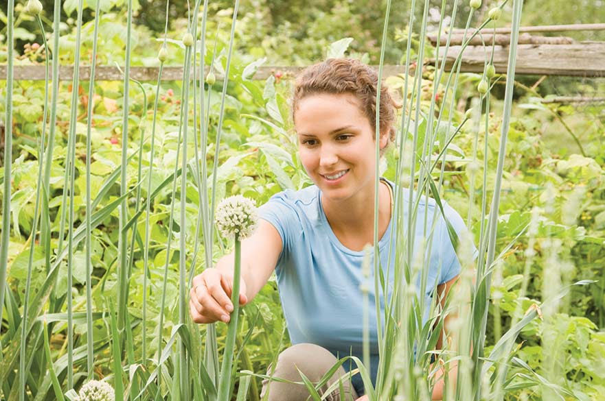 environment and sustainable futures
