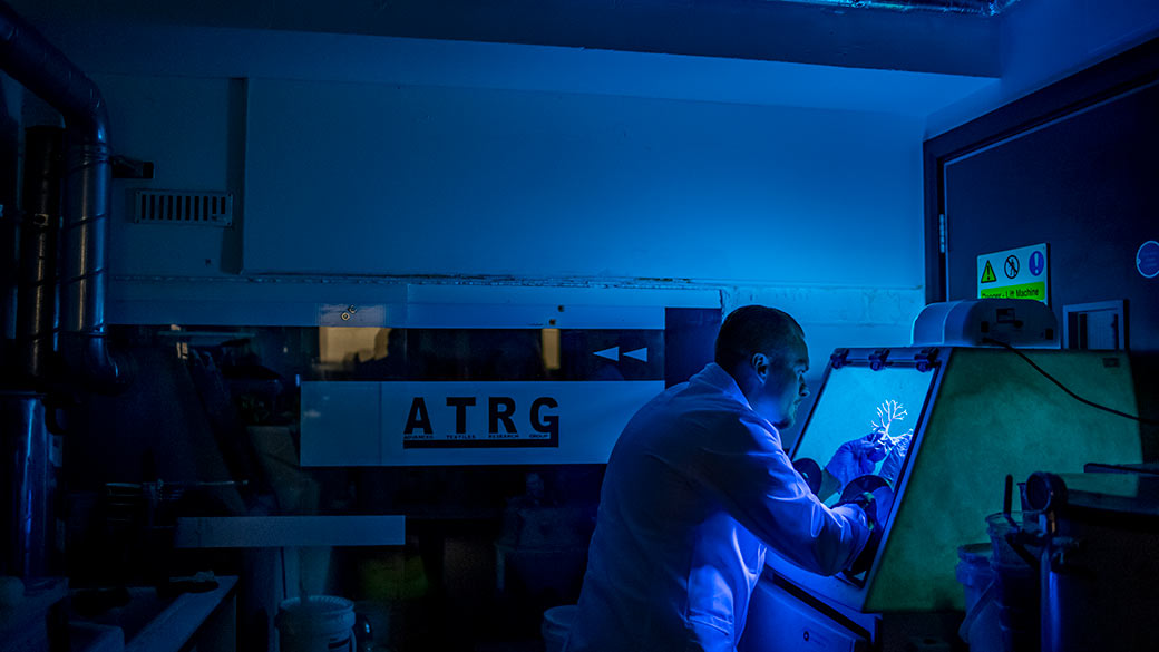 Richard Arm working with UV light