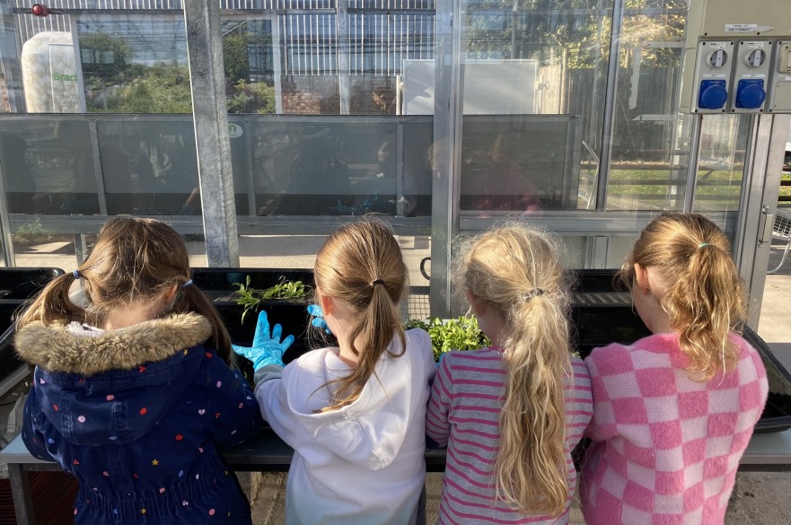 A recent primary school visit to the Brackenhurst glasshouses