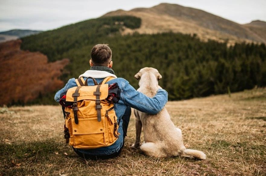 Hiker and dog, with backs to the camera,  sitting on a hill overlooking the landscape