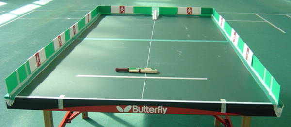 table tennis table set up for table cricket